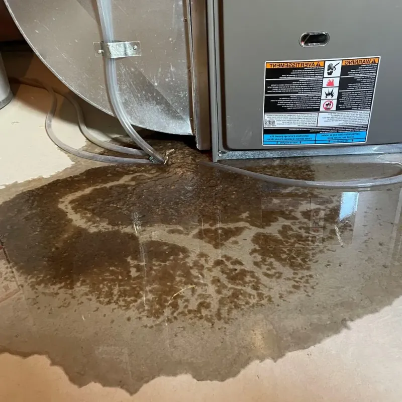 Pipe Burst and Leak Restoration in Edgecliff Village, TX