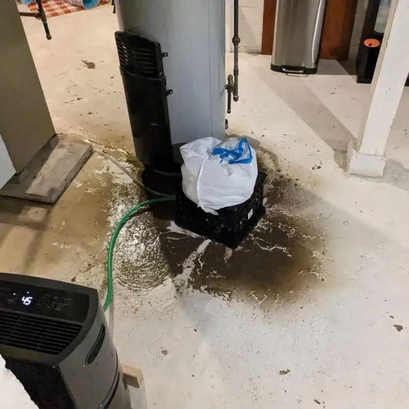 Sewage Backup Cleanup Service in Edgecliff Village, TX